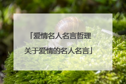 爱情名人名言哲理 关于爱情的名人名言