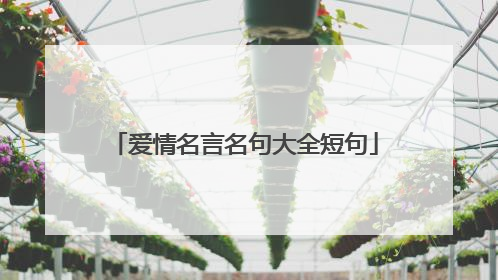 爱情名言名句大全短句