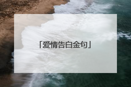 爱情告白金句