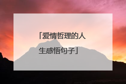爱情哲理的人生感悟句子