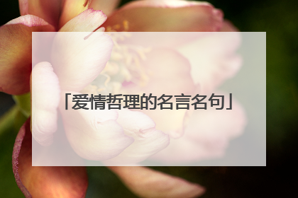 爱情哲理的名言名句