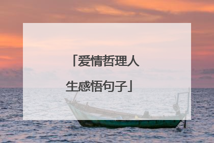 爱情哲理人生感悟句子