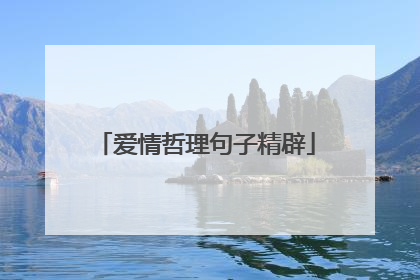 爱情哲理句子精辟