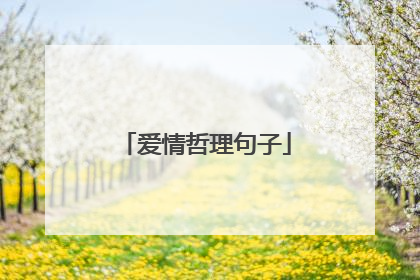 爱情哲理句子