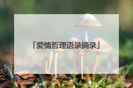 爱情哲理语录摘录