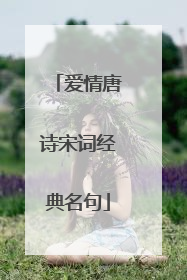 爱情唐诗宋词经典名句