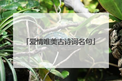 爱情唯美古诗词名句