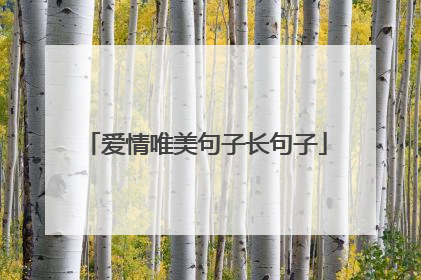 爱情唯美句子长句子