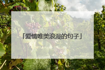 爱情唯美浪漫的句子