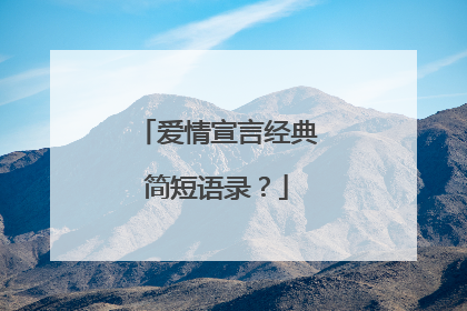 爱情宣言经典简短语录？