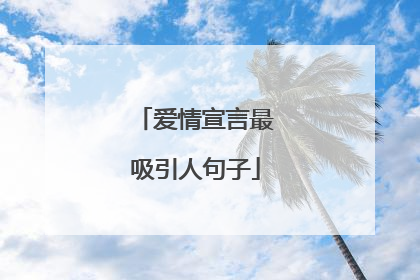 爱情宣言最吸引人句子