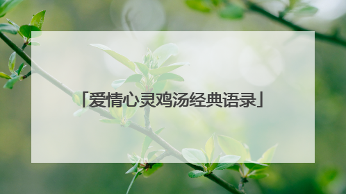 爱情心灵鸡汤经典语录
