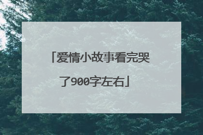 爱情小故事看完哭了900字左右