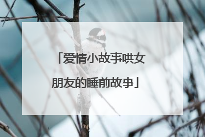 爱情小故事哄女朋友的睡前故事