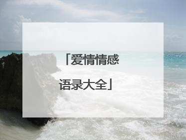 爱情情感语录大全