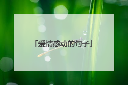 爱情感动的句子