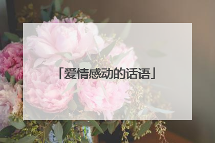 爱情感动的话语