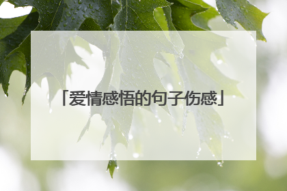 爱情感悟的句子伤感