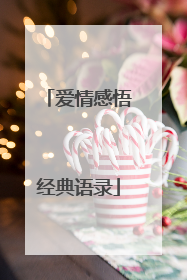 爱情感悟经典语录