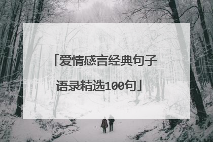 爱情感言经典句子语录精选100句