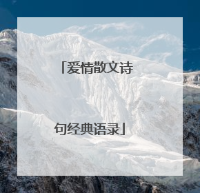 爱情散文诗句经典语录