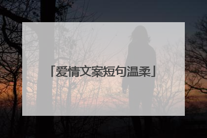 爱情文案短句温柔