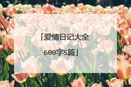 爱情日记大全600字5篇