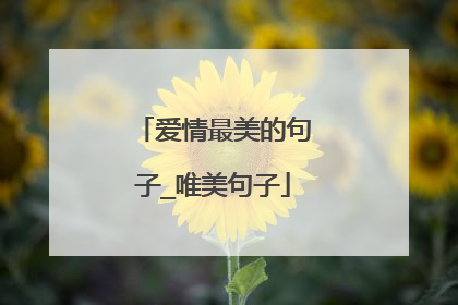 爱情最美的句子_唯美句子