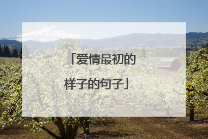 爱情最初的样子的句子