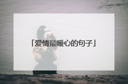 爱情最暖心的句子