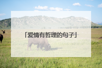 爱情有哲理的句子