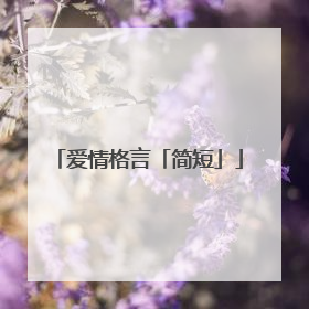 爱情格言「简短」