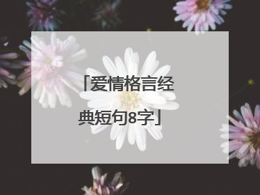 爱情格言经典短句8字