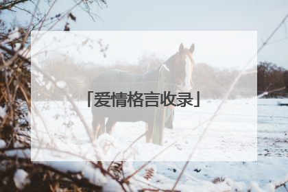 爱情格言收录