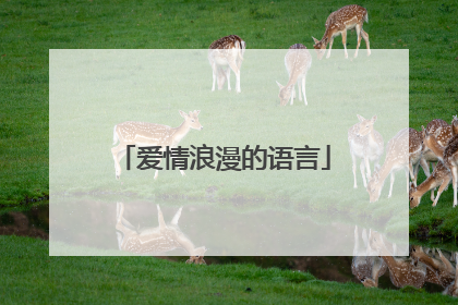 爱情浪漫的语言
