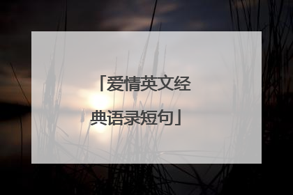 爱情英文经典语录短句