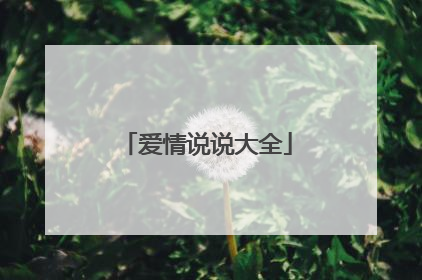 爱情说说大全