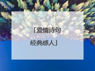 爱情诗句经典感人