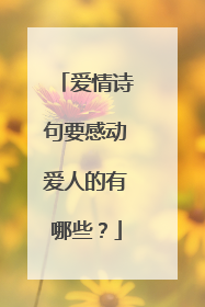 爱情诗句要感动爱人的有哪些？