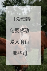 爱情诗句要感动爱人的有哪些?