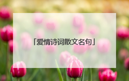 爱情诗词散文名句