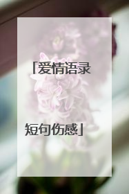 爱情语录短句伤感