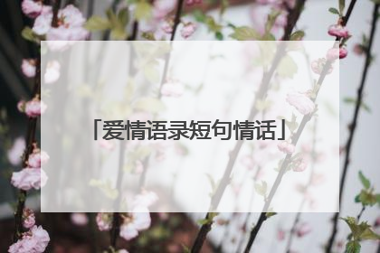 爱情语录短句情话