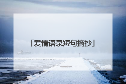 爱情语录短句摘抄