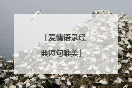 爱情语录经典短句唯美