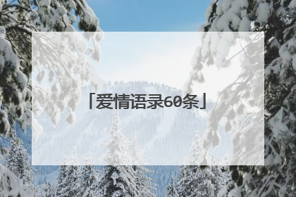 爱情语录60条