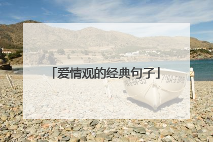 爱情观的经典句子