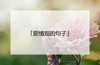 爱情观的句子