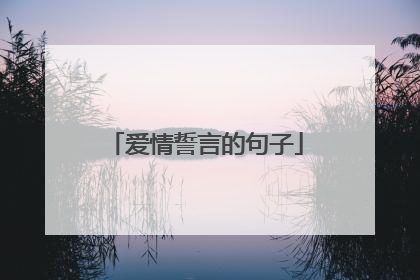 爱情誓言的句子