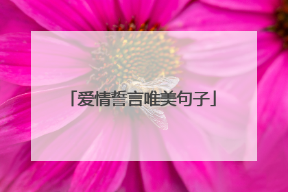 爱情誓言唯美句子